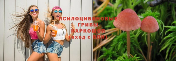 трава Карпинск