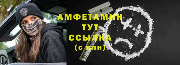 трава Карпинск