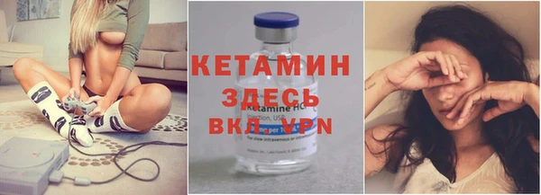 трава Карпинск