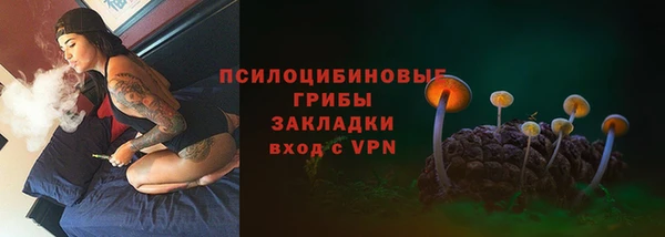 трава Карпинск