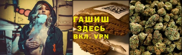 трава Карпинск